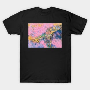 Macaw 3 T-Shirt